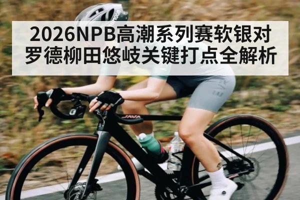 2026NPB高潮系列赛软银对罗德柳田悠岐关键打点全解析